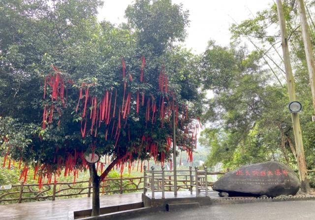 草长莺飞|这里草长莺飞、春意盎然，竟然还“私藏”了整个春天