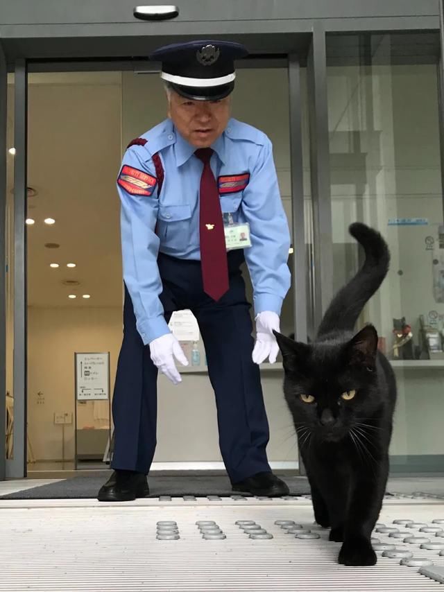 小黑猫|“小黑猫连续4年硬闯美术馆，竟是为了见一个人！”哈哈哈......真暖