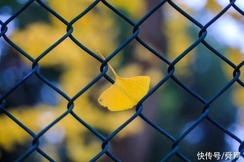 深度睡眠&老祖宗的10句狠话教你怎么做人,话不好听,却很现实!