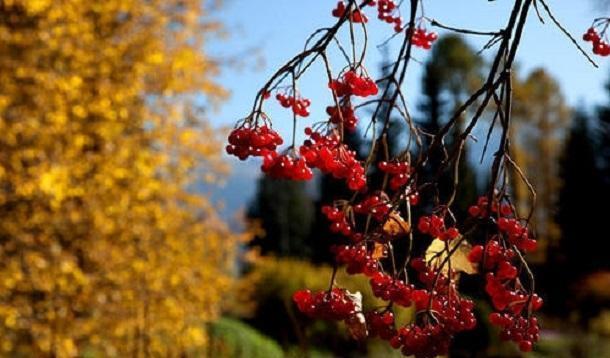 做人,不可好高骛远,更不可小看自己