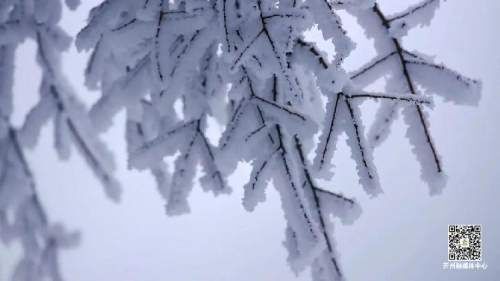 宝山|看雪啦！开州雪宝山化身雪域仙境