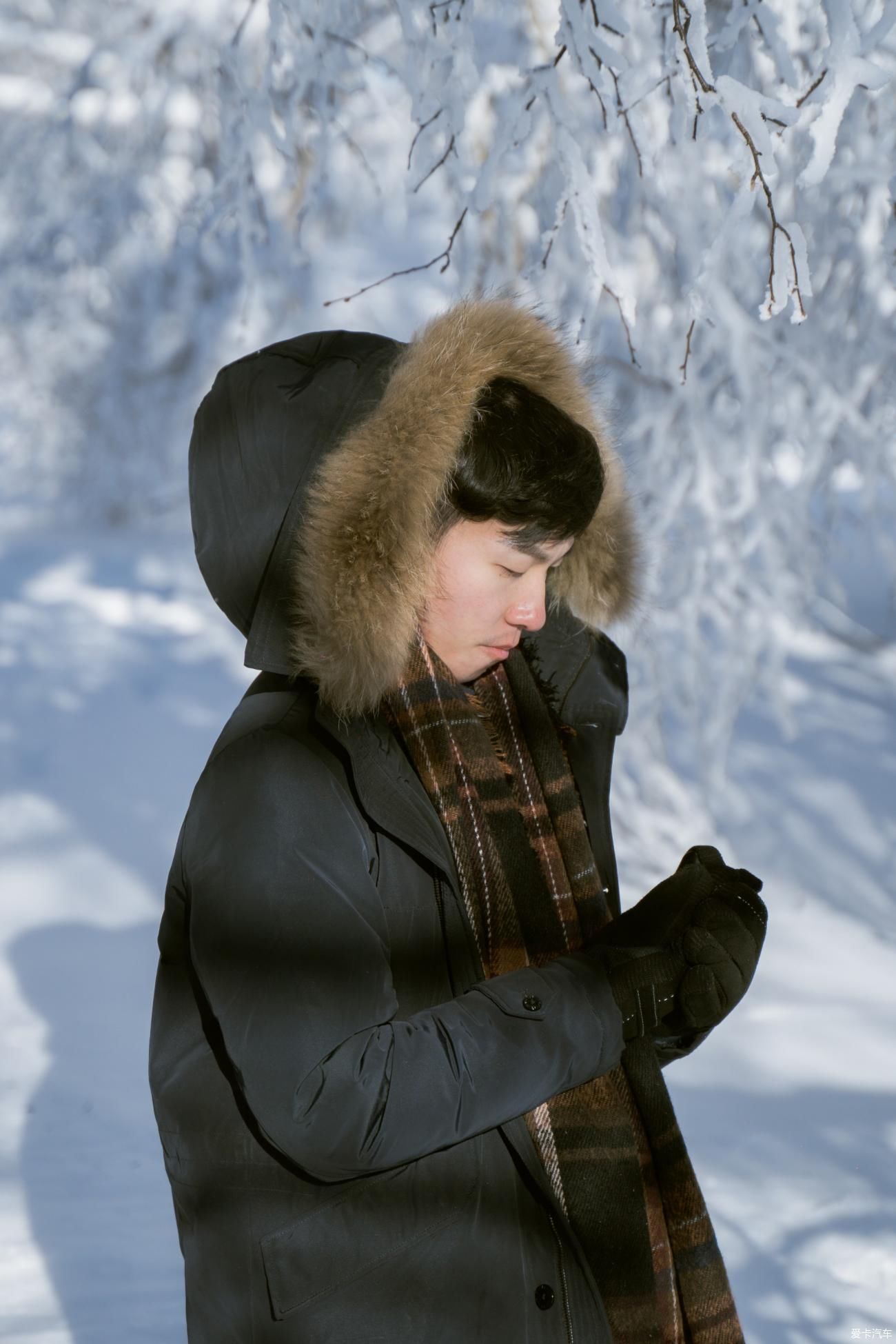 老年|在寂静雪原 遇见雪花真实的形状