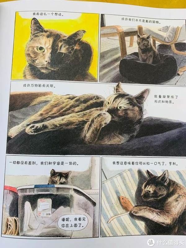 猫生|爆笑治愈的猫生漫画,你不是猫,你怎么知道猫怎么想?