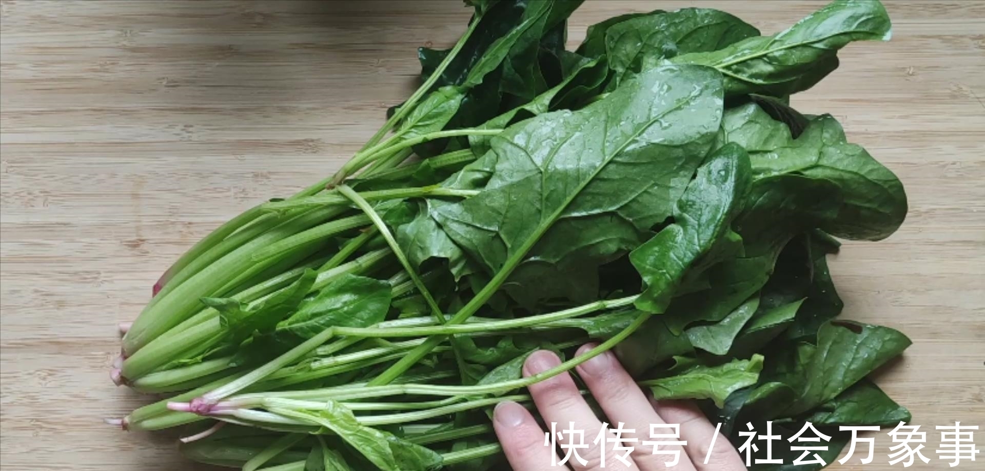 天热|10种夏季应季绿色蔬菜,含锌量媲美猪肉,还不打药,天热可以多吃