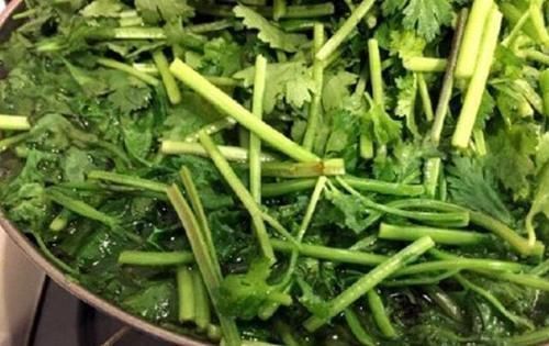 存放香菜,不要再放冰箱,20年大厨教你,不管多久都不坏