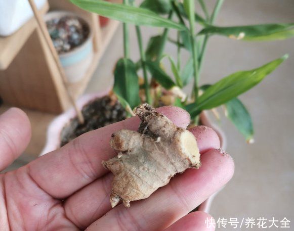 材料|这5种衣服污渍,只需最简单的材料清洗,家家都有