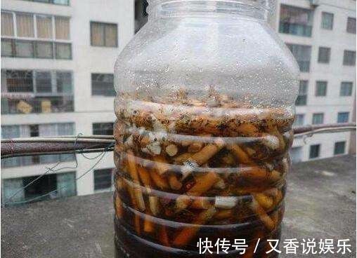 叶子|常用这些水浇花,让你的盆栽花朵艳丽、不生虫、叶子油绿宽又大!