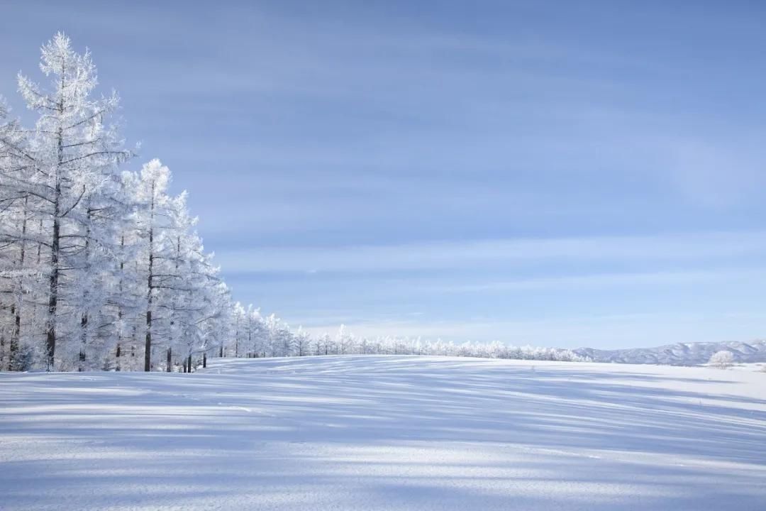  迎来|今日大雪丨今日0时9分迎来大雪节气 仲冬时节正式开始