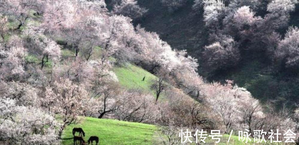 伤感！王安石晚年大病一场，还写下两首凄美之作，每一首都感人肺腑！