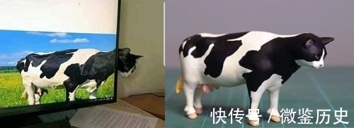 还原|全球的猫都想屏蔽这个日本人,他到底做了多少沙雕手办?