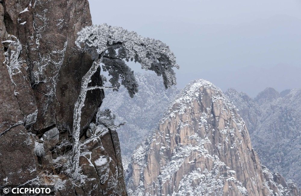 雪景|安徽黄山：小雪节气迎入冬初雪