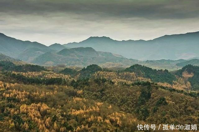 麦积山|立冬后的麦积山色，虽憔悴却依然风韵隐隐