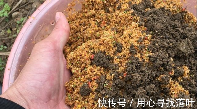 打隔夜窝也不能保证上鱼！钓位、窝料你都算准了吗！