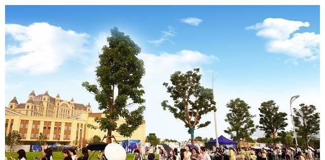 周柯宇|創(chuàng)造營2021刷屏了!恒大海花島成粉絲花式示愛天堂