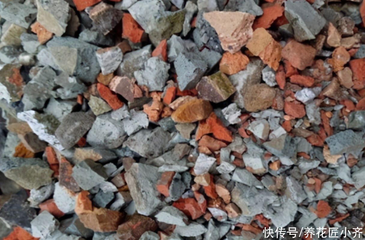 路边能捡到3种“东西”，养花很好用，可以省钱买点花