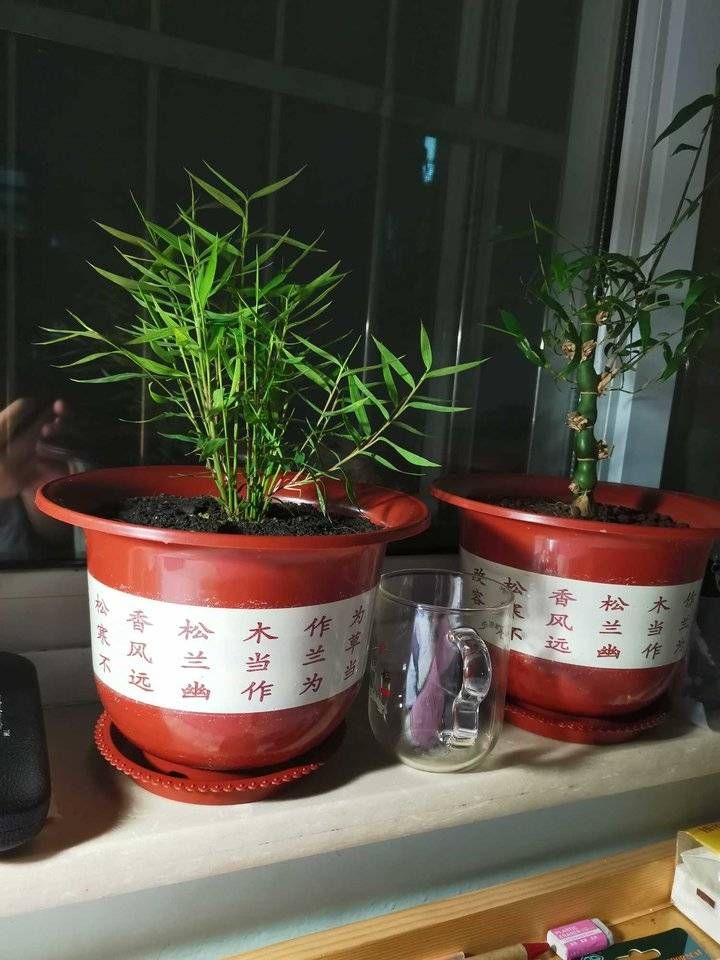 父亲节|没有父亲的父亲节