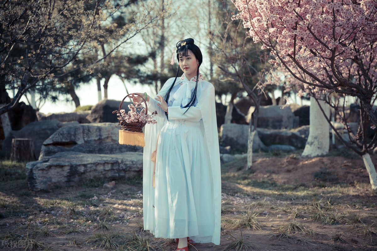 封建社会|五千年的文化成就各有千秋的伟业,而《红楼梦》必是其中翘楚