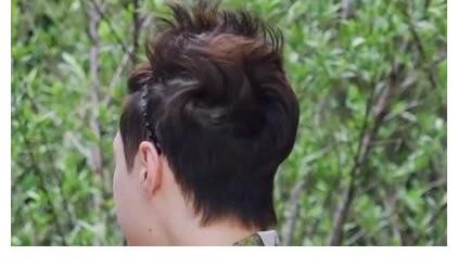 張藝興|繼楊紫、那英后，《向往的生活》又迎來氣氛擔(dān)當(dāng)金婧、劉勝瑛