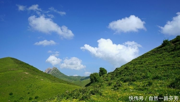 迭部|迭部措美，不忍错过的美丽