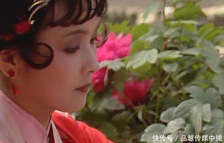 林黛玉|读书有多重要?红楼梦中,最优秀的女子不是林黛玉,而是薛宝琴