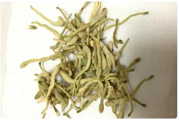 黄芪有“天作之合”,配在一起泡水喝,养肝补血,血管也会变干净