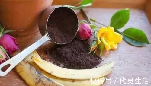她用一斤香蕉皮把花养爆盆，全年不用施肥，花长得又壮又好开花多