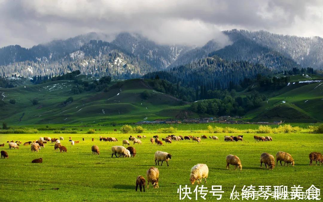 薰衣草|横跨崇山峻岭，穿越深山峡谷，独库公路“纵贯天山的景观大道”