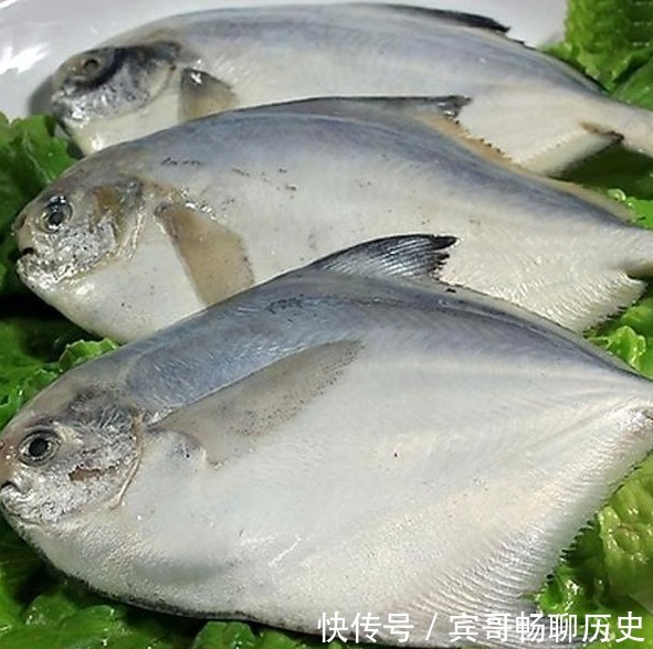 爱吃鱼，认准4种买，目前无法人工养殖，营养高味道鲜，还便宜