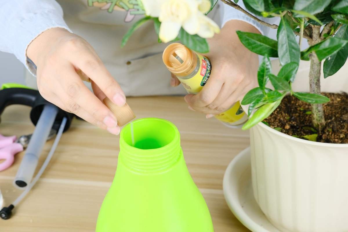 厨房这4种材料，原来是生根宝藏，教你自制生根剂