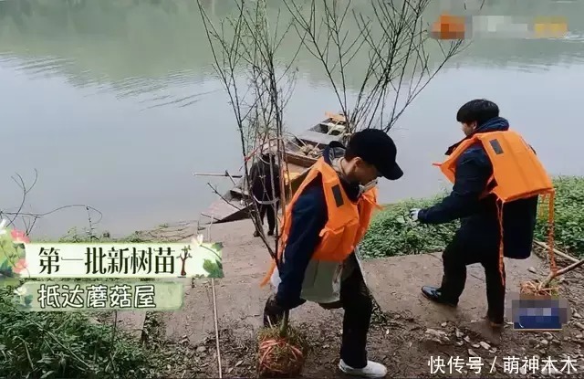 《向往5》又被质疑作假,张艺兴劳动镜头被剪,黄磊做饭也被删