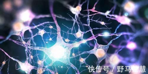 睡不着|为什么很多老人半夜醒来后，就睡不着了？医生：多半是这两个原因