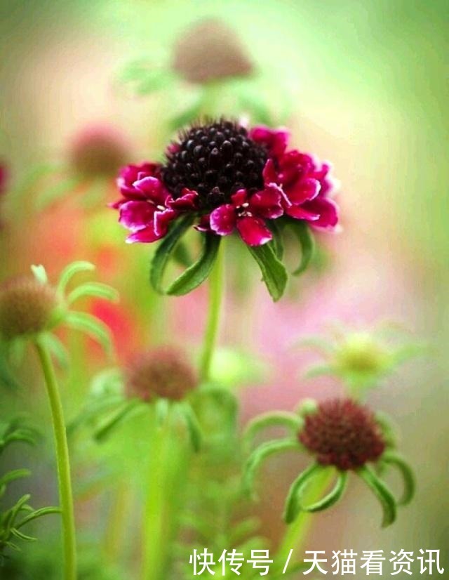 经典语录|激励人心的经典语录,句句有内涵,读读受益匪浅