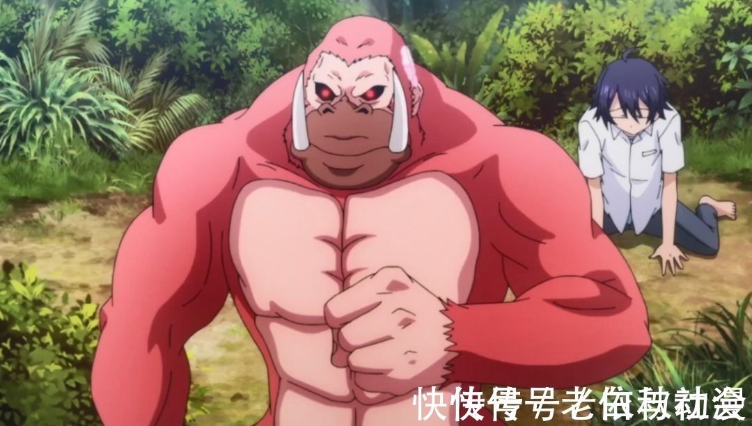 黑龙神|这部新番太降智,能继续看下去的没几个人吧