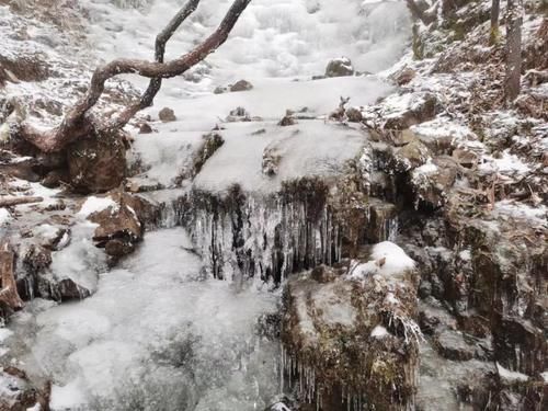 轿子|说走就走！快去轿子雪山与神奇的雾凇同框！