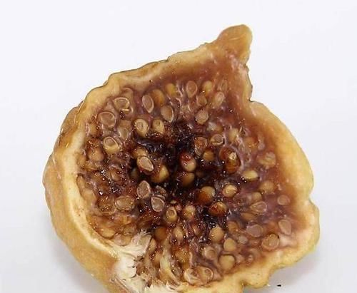 胎毒|孕晚期当戒备胎毒,多吃的此6样食物,生的宝宝干净白皙少生病