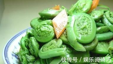 山野菜|农村人爱吃以下山野菜，是名贵中草药！专家：早看早知道