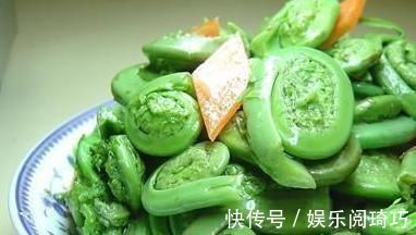 山野菜|农村人爱吃以下山野菜,是名贵中草药!专家:早看早知道