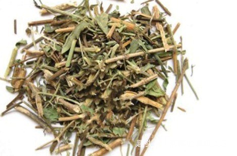 透骨草|十个人九个腰痛，用此草泡水喝，活血化瘀，腰不痛了，早喝早好