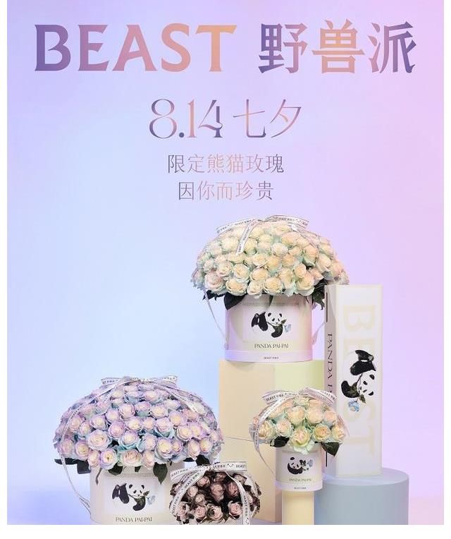 花店|井柏然变身花店老板，演绎熊猫求爱现代童话