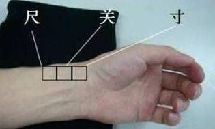 胎儿|“喜脉”到底是怎么摸出来的其实很容易，大家都可以自己试试看