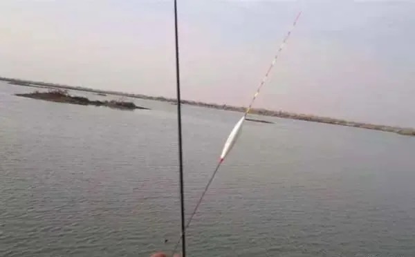 冬季如何专钓大板鲫?钓鱼高手的4个绝招赶紧收好,保你钓的爽!