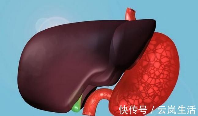 肝毒|养肝就是“养命”,多吃这6样食物,清理体内肝毒,健康更长寿