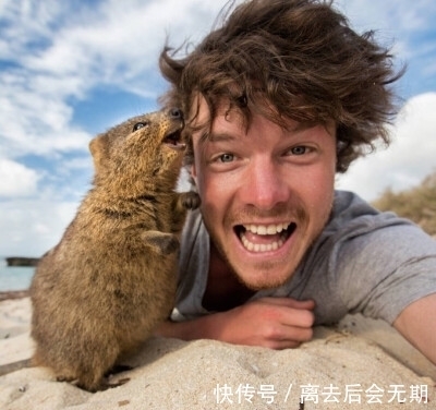 火烈鸟|9条奇葩冷知识,有趣又好玩,每日增长有趣的知识