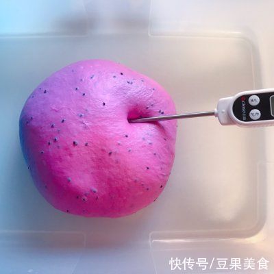 波兰种火龙果蔓越莓乳酪欧包