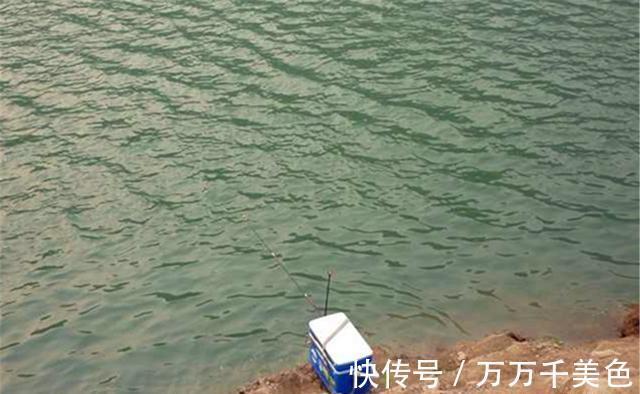 秋季|秋季钓边万能方法,浅水也能钓大货,这一点也不稀奇
