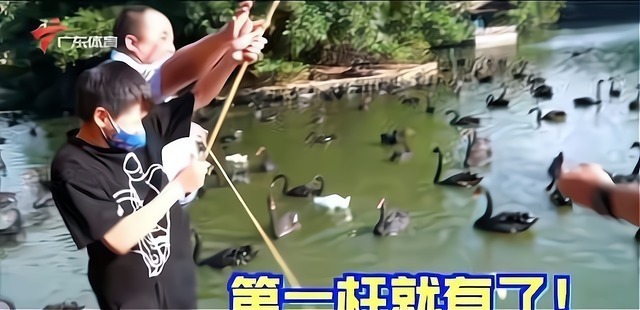 红姐|全红婵连续钓上9条鱼破纪录!红姐炫耀:厉害吗?周围人一顿吹捧