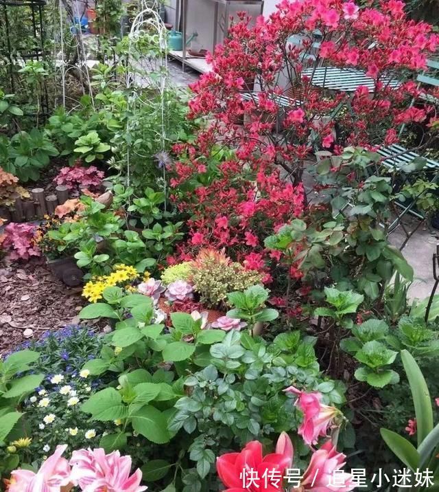 有了30平方的小院,能将日子过成了诗简单而精致,优雅而从容