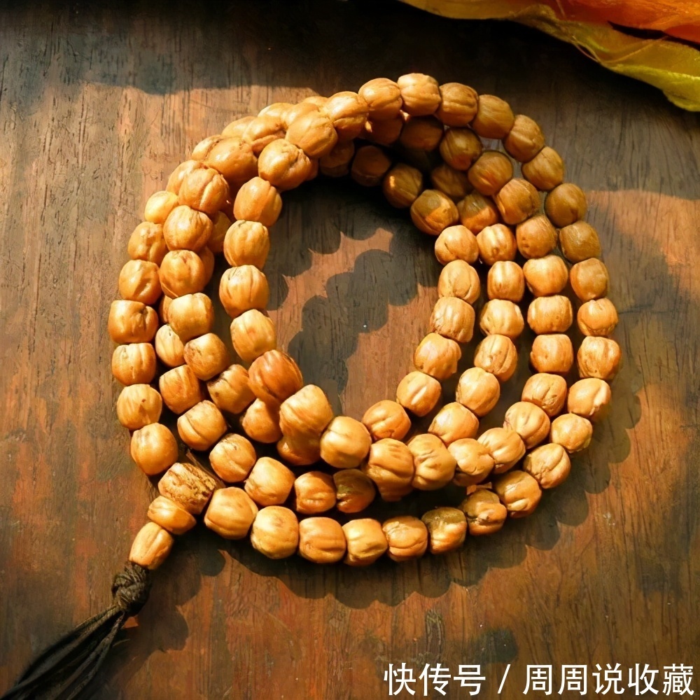  真的|被老板们神话的，热振寺百香籽真的那么好吗？