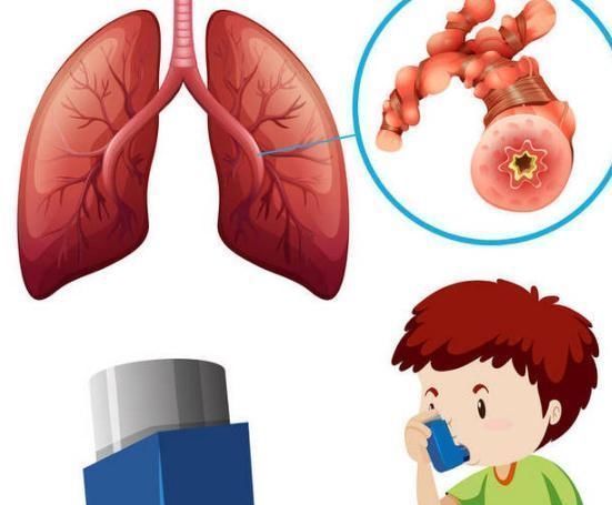 止咳化痰|脾肺不好止咳难,每天温水泡1物,孩子喝了,健脾润肺、化痰止咳