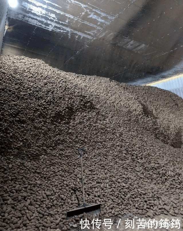 电子显微镜 22张“活久见”的照片,令人大开眼界!